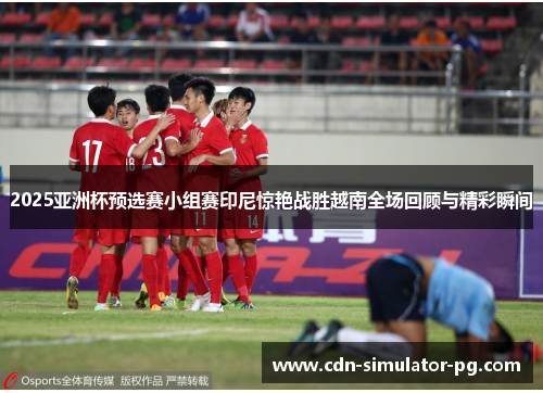 2025亚洲杯预选赛小组赛印尼惊艳战胜越南全场回顾与精彩瞬间