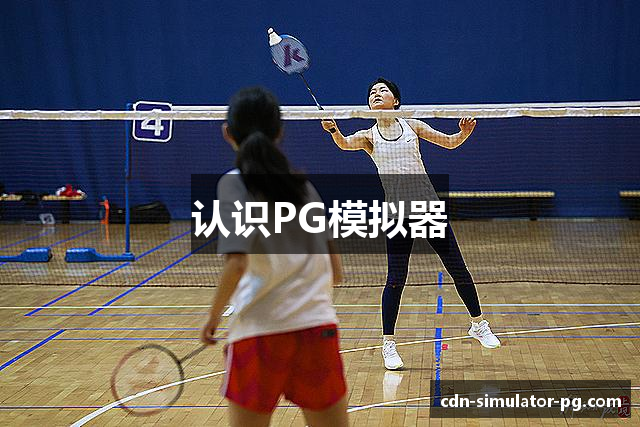 认识PG模拟器